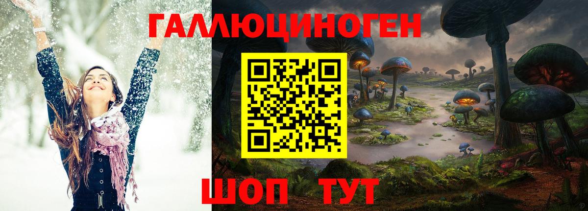 Канаш  Галлюциногенные грибы GOLDEN TEACHER  Вход с VPN  Псилоцибиновые грибы Cubensis 